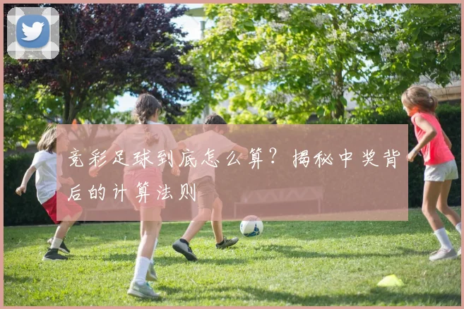 竞彩足球到底怎么算？揭秘中奖背后的计算法则