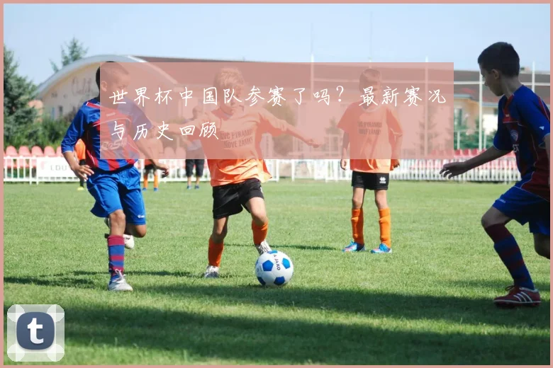 世界杯中国队参赛了吗？最新赛况与历史回顾